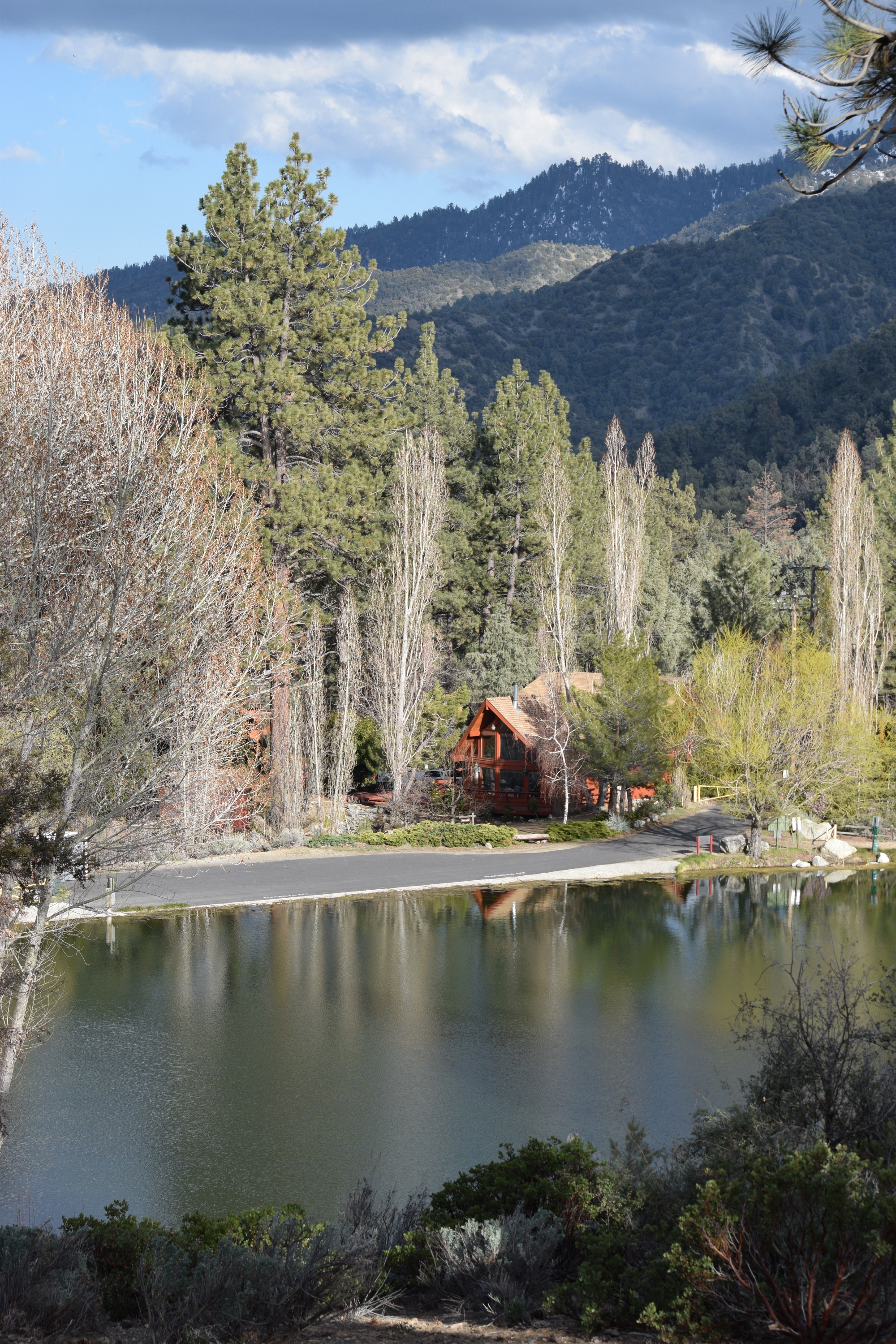 Property main image