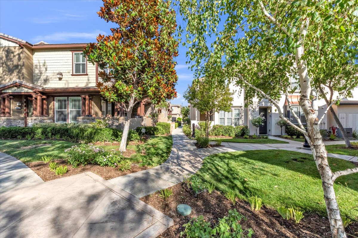 28687 North Pietro Drive - 1